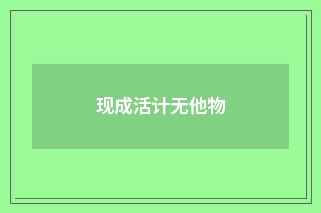 现成活计无他物