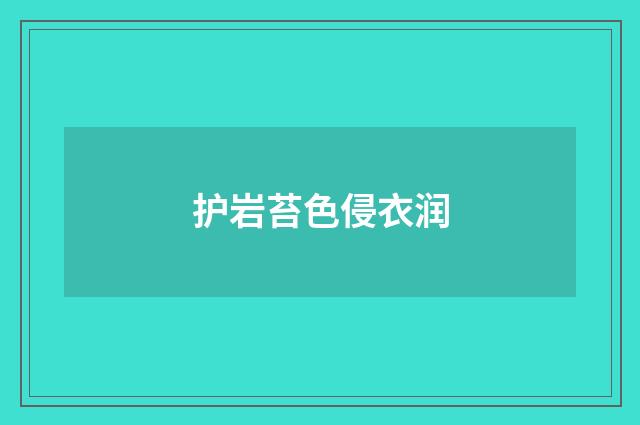 护岩苔色侵衣润