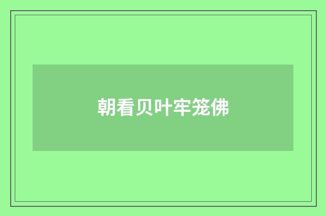 朝看贝叶牢笼佛