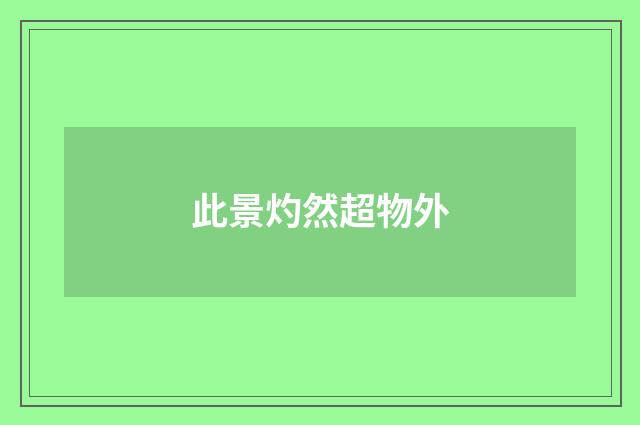 此景灼然超物外