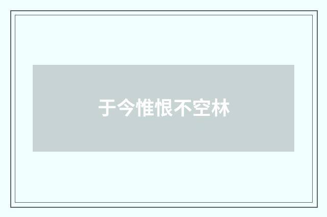 于今惟恨不空林