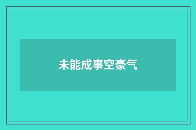 未能成事空豪气