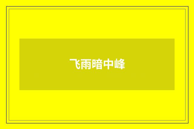 飞雨暗中峰