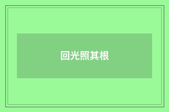 回光照其根