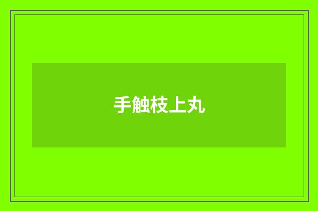 手触枝上丸