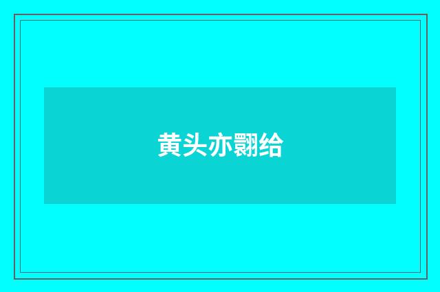 黄头亦翾给