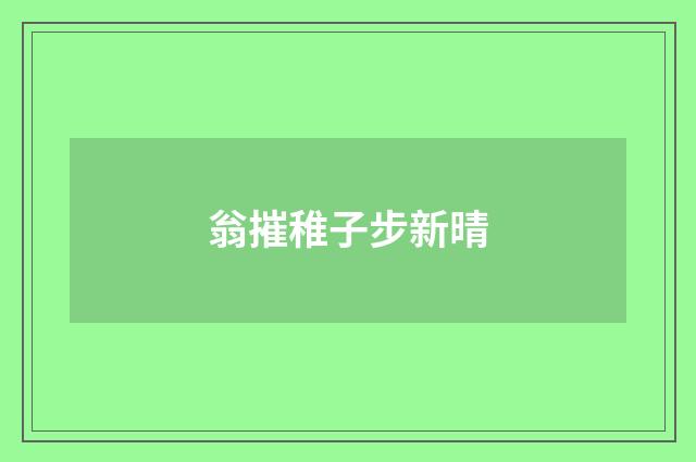 翁摧稚子步新晴