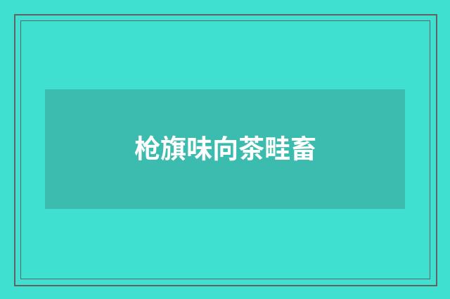枪旗味向茶畦畜
