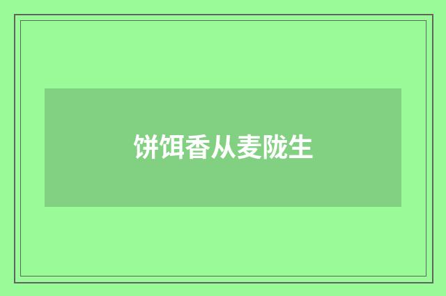 饼饵香从麦陇生