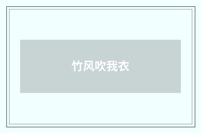 竹风吹我衣