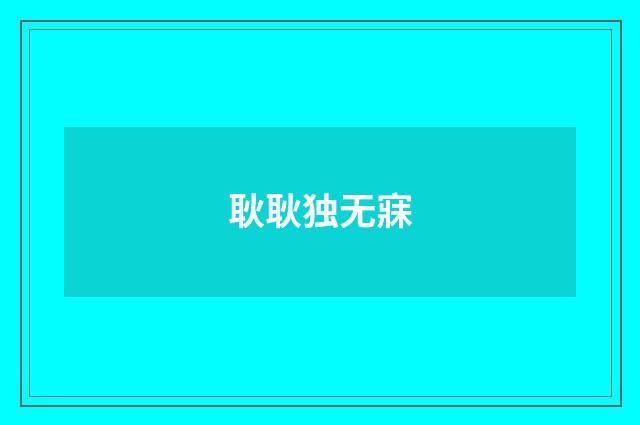 耿耿独无寐