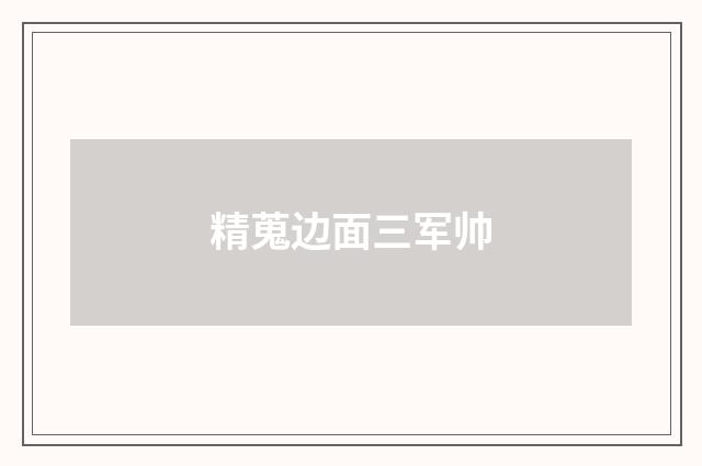 精蒐边面三军帅