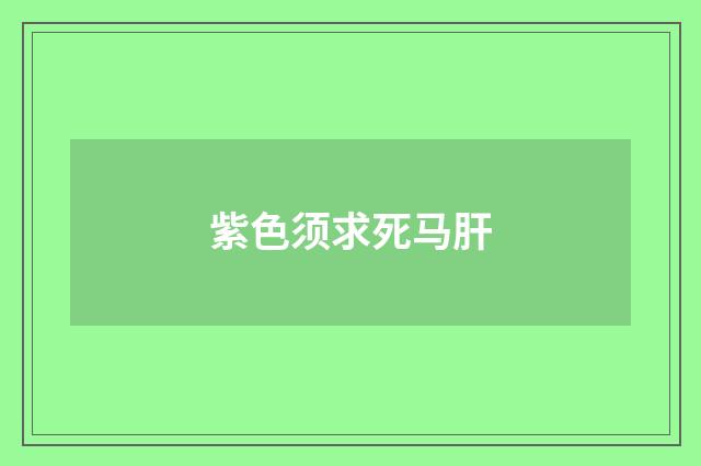 紫色须求死马肝