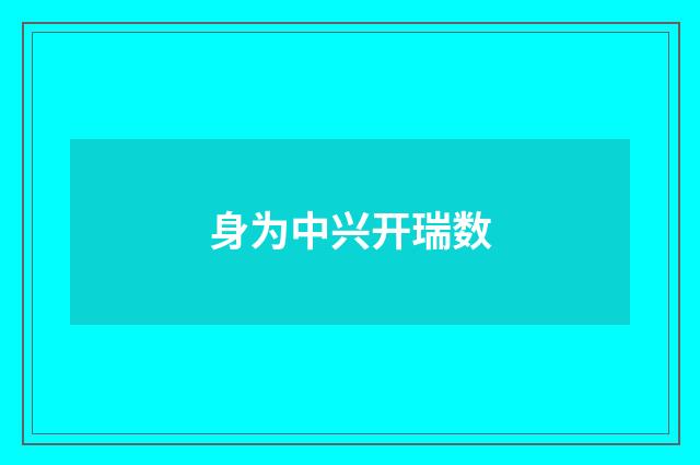 身为中兴开瑞数