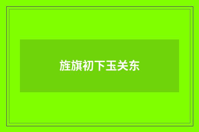 旌旗初下玉关东