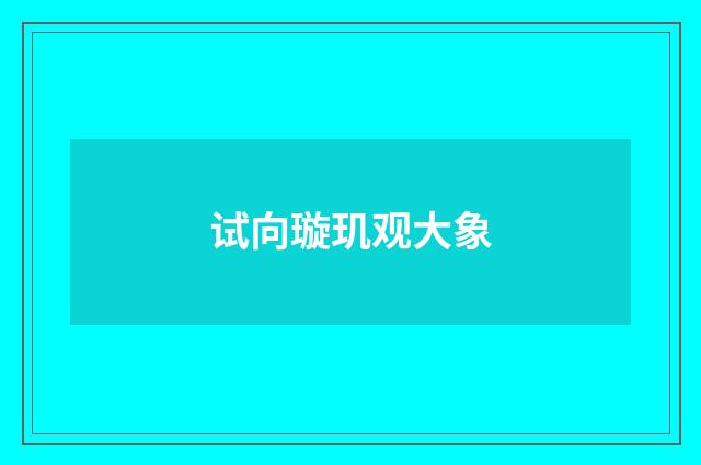 试向璇玑观大象