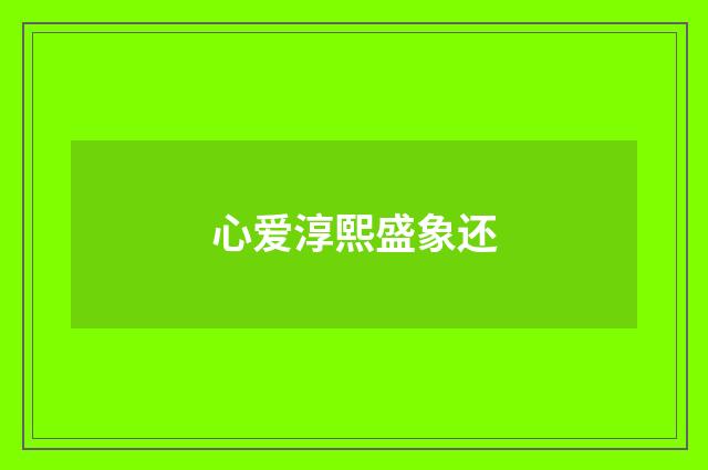 心爱淳熙盛象还