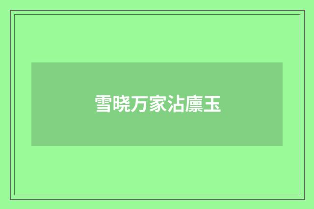 雪晓万家沾廪玉