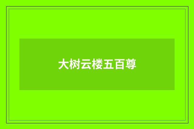 大树云楼五百尊