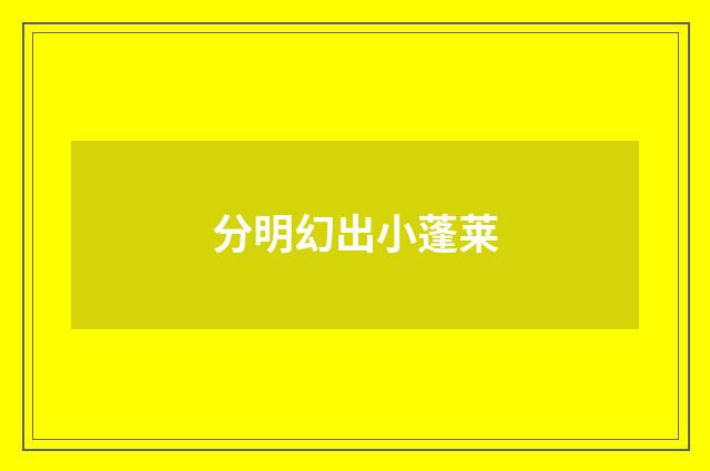分明幻出小蓬莱