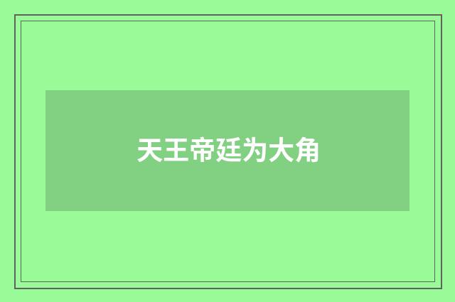 天王帝廷为大角