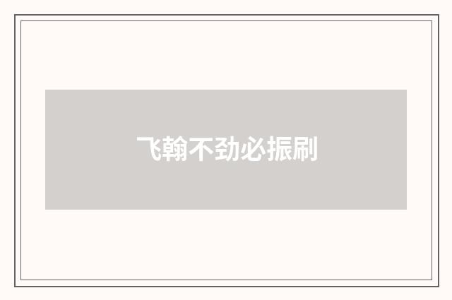 飞翰不劲必振刷