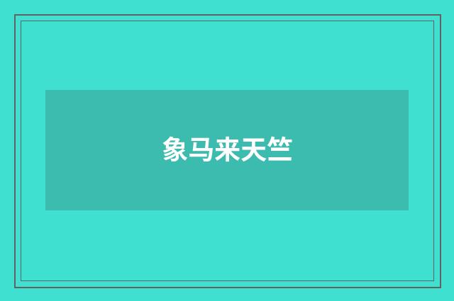 象马来天竺