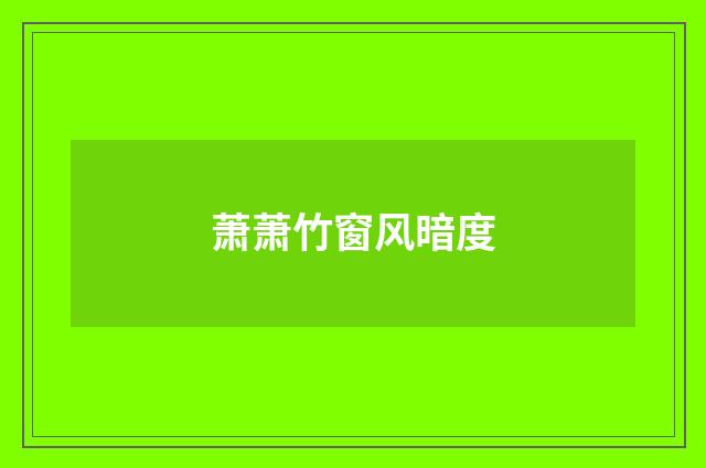 萧萧竹窗风暗度