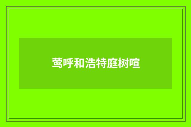 莺呼和浩特庭树喧