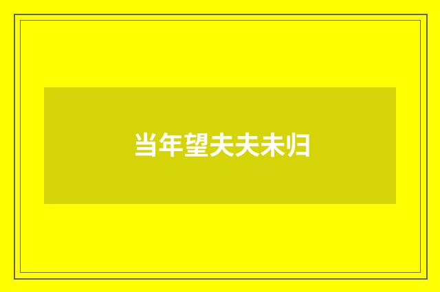 当年望夫夫未归