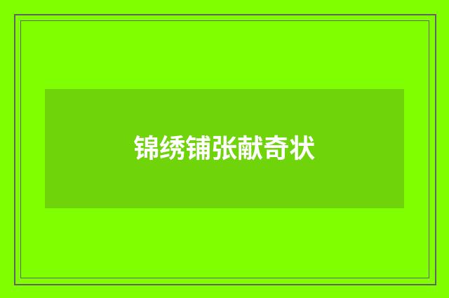 锦绣铺张献奇状