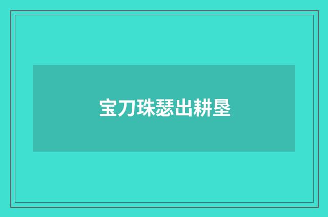 宝刀珠瑟出耕垦