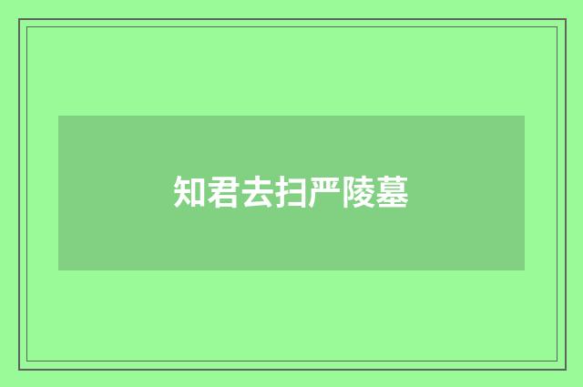 知君去扫严陵墓