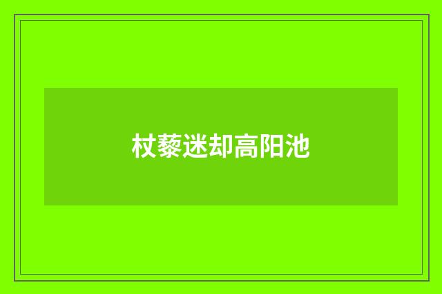 杖藜迷却高阳池