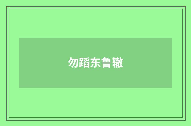 勿蹈东鲁辙