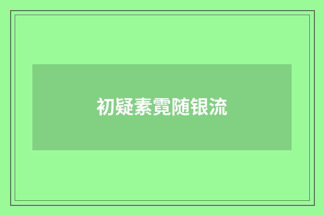 初疑素霓随银流