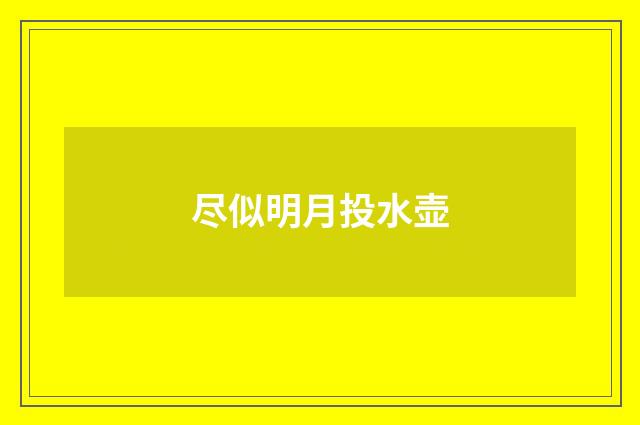 尽似明月投水壶