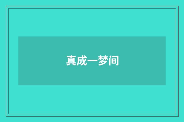 真成一梦间