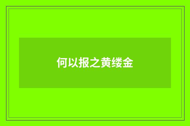 何以报之黄缕金
