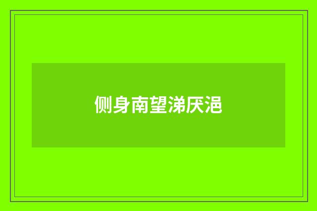 侧身南望涕厌浥