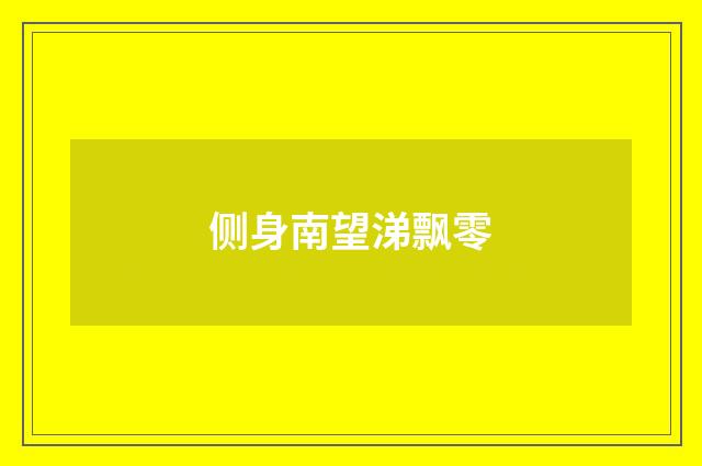 侧身南望涕飘零