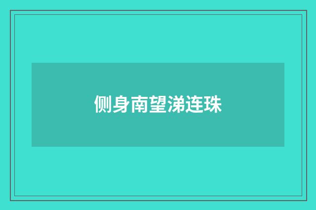 侧身南望涕连珠