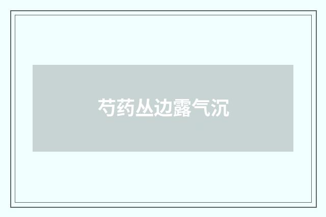 芍药丛边露气沉
