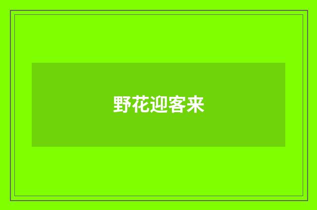 野花迎客来
