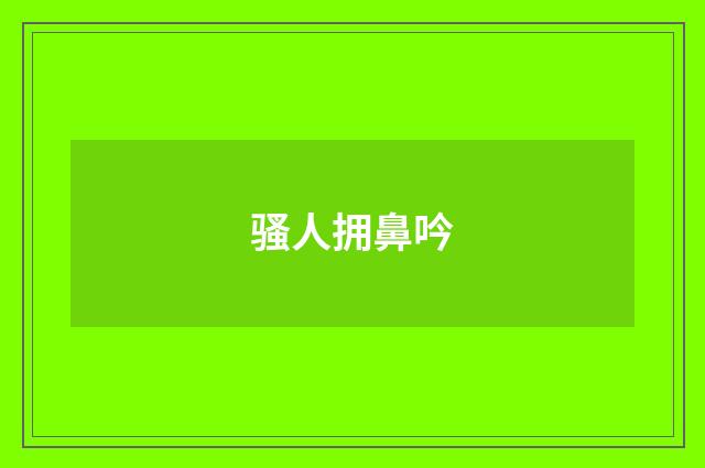 骚人拥鼻吟