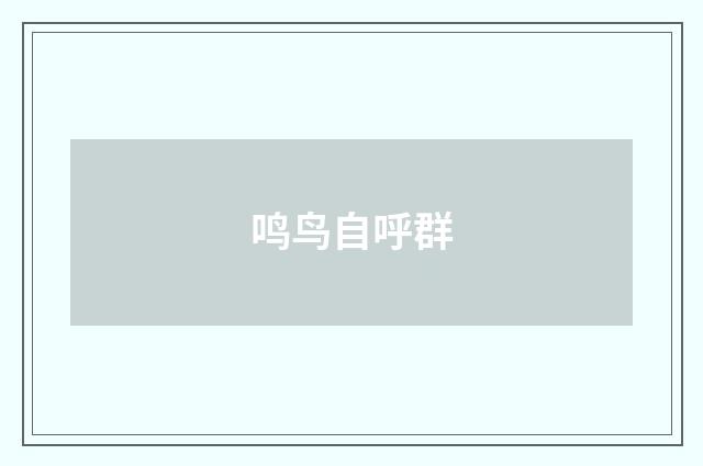 鸣鸟自呼群