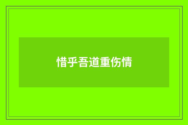惜乎吾道重伤情