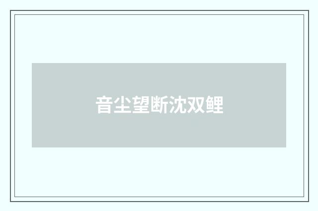 音尘望断沈双鲤