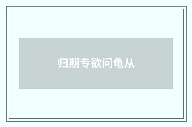 归期专欲问龟从