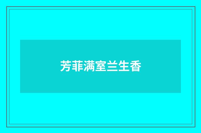 芳菲满室兰生香